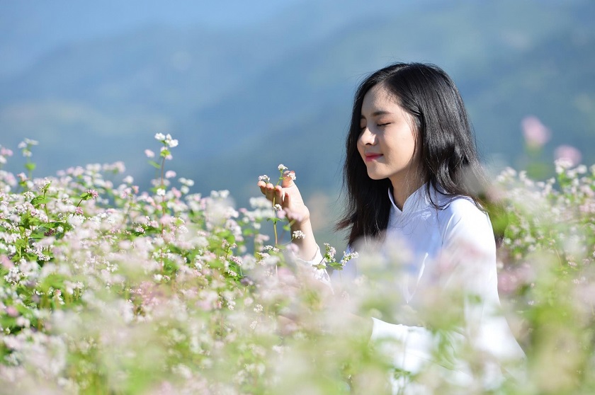 Kinh nghiệm du lịch Hà Giang 2026: Đi mùa nào đẹp, ăn gì, chơi gì?