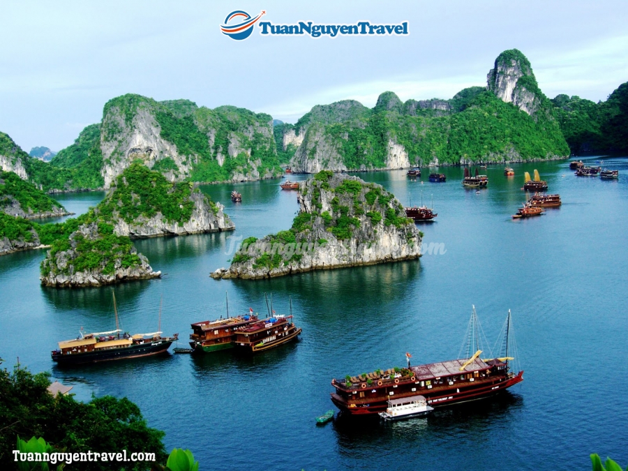 Tour Đà Nẵng/Hồ Chí Minh- Hà Nội- Hạ Long- Ninh Bình- SaPa 5N4Đ