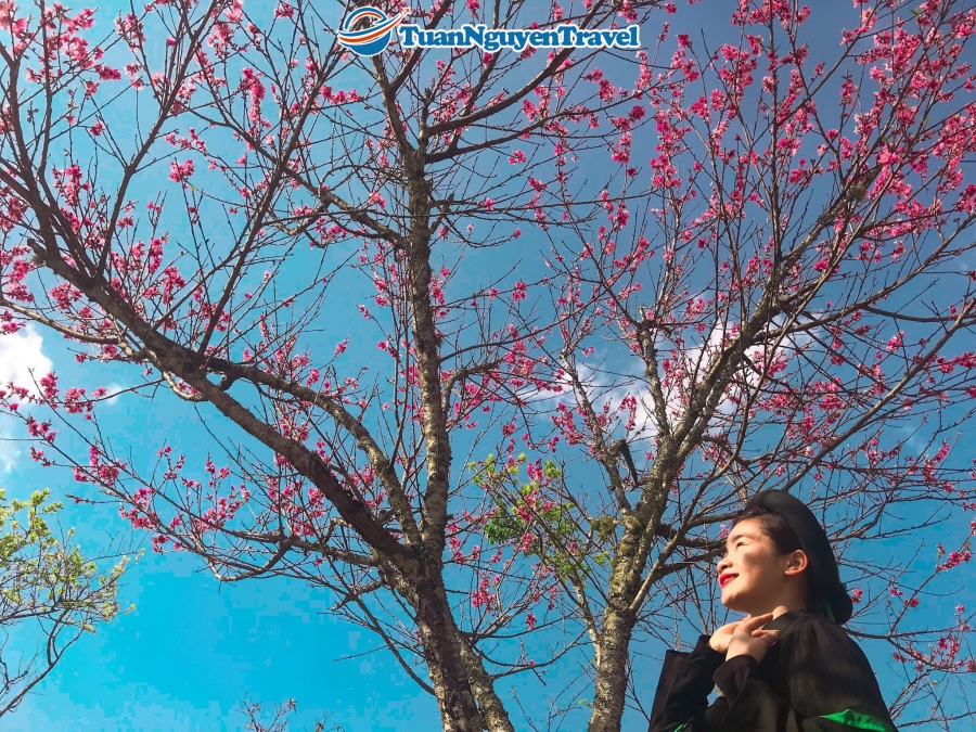 Tour Đà Nẵng/TP Hồ CHí Minh - Hà Nội - SaPa 4N3Đ